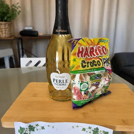 Kemping Mobil-home Chez Loulou & Bibou ,camping Le Ptit Rio